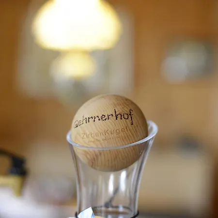 Appartamento Biobauernhof Gehrnerhof Am Arlberg *