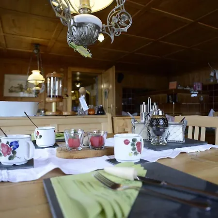 Biobauernhof Gehrnerhof Am Arlberg Apartment