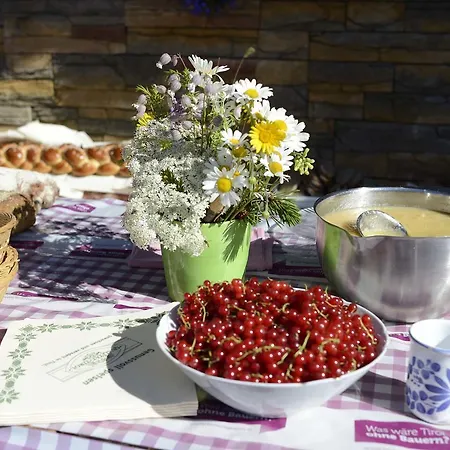 Apartmán Biobauernhof Gehrnerhof Am Arlberg Warth (Vorarlberg)