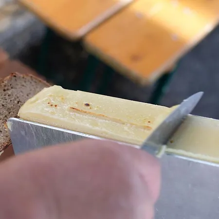 Biobauernhof Gehrnerhof Am Arlberg ワース