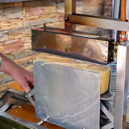 Biobauernhof Gehrnerhof Am Arlberg アパート *